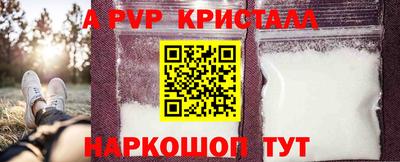 jwh Бийск