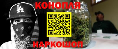 jwh Бийск