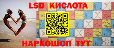 jwh Бийск