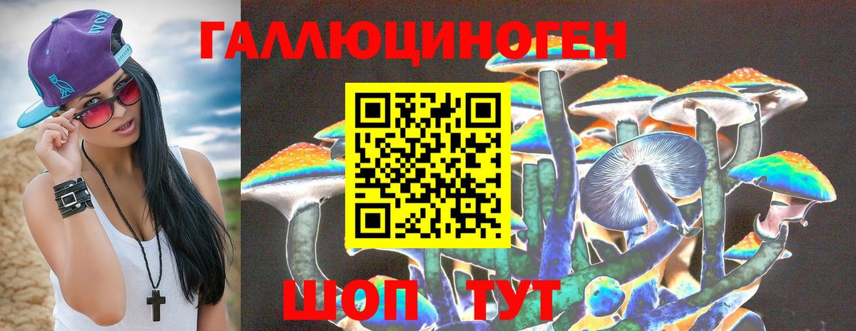 Псилоцибиновые грибы мицелий Верхняя Пышма