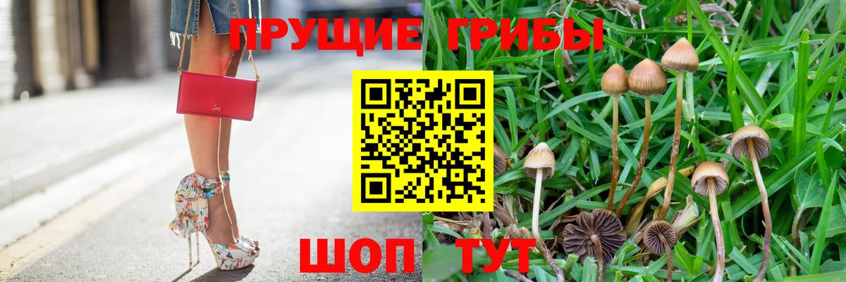 Галлюциногенные грибы прущие грибы  купить наркотики сайты  Верхняя Пышма  Вход с VPN 